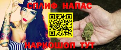 крисы Будённовск