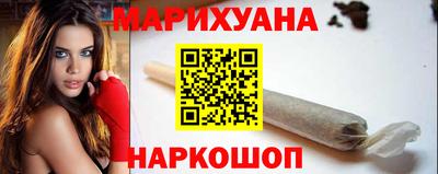 крисы Будённовск