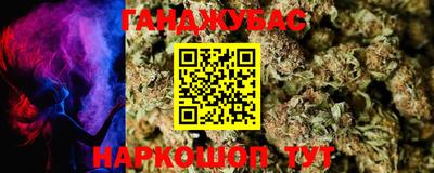 крисы Будённовск